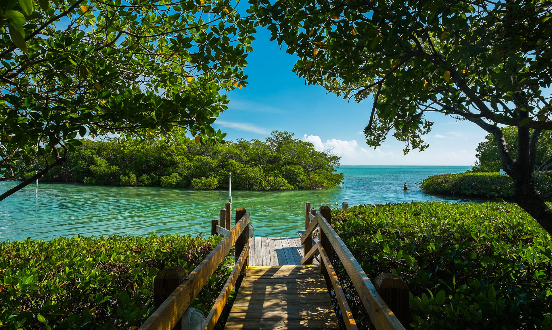 Boardwalk to Green River